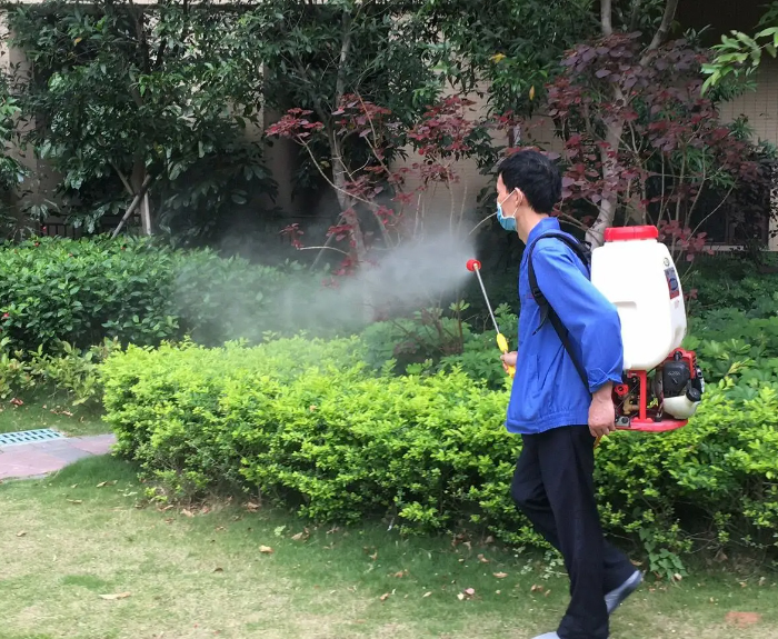 消杀除四害
